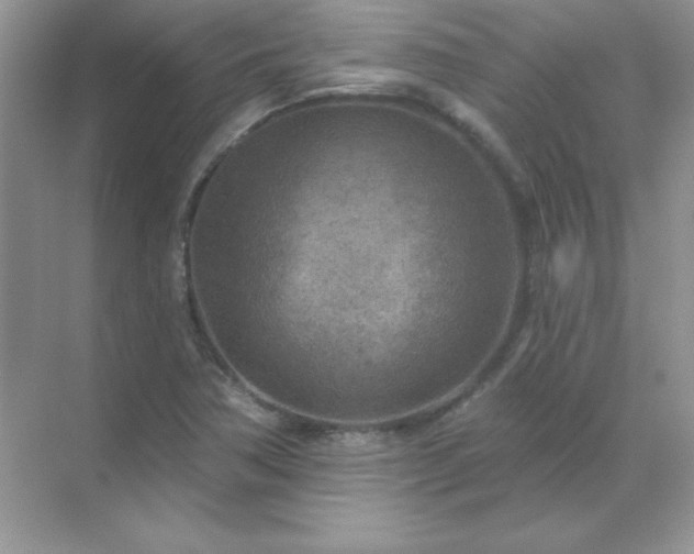 X0000071801362200607072041