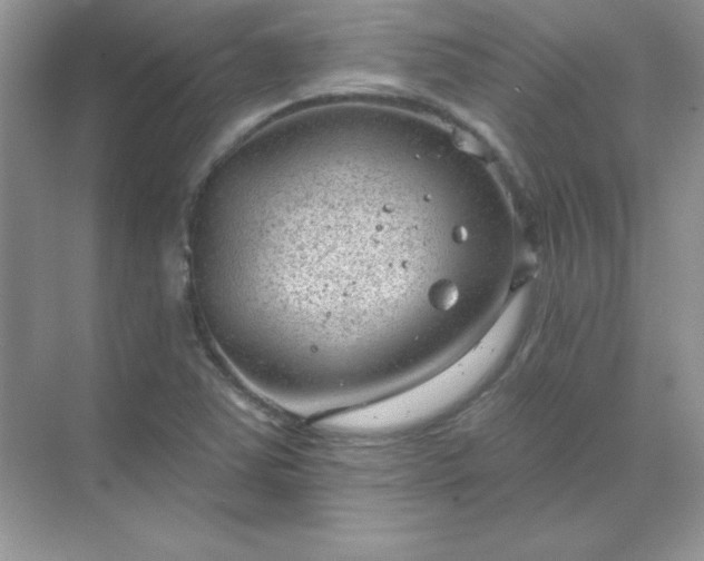 X0000071801363200607072041