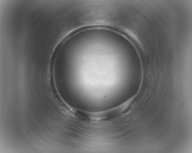 X0000071801364200607072041