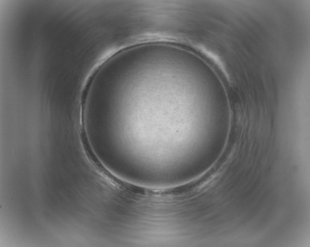 X0000071801365200607072041