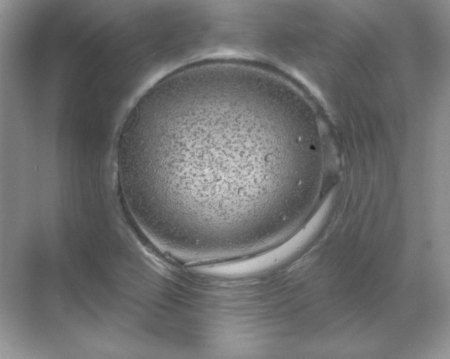 X0000071801367200607072041