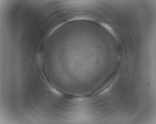 X0000071801369200607072041