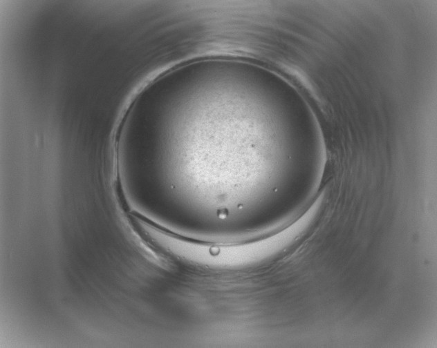 X0000071801371200607072040