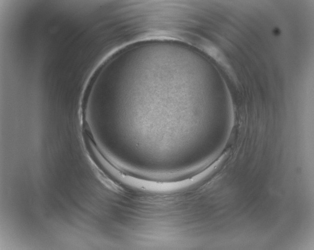 X0000071801372200607072040