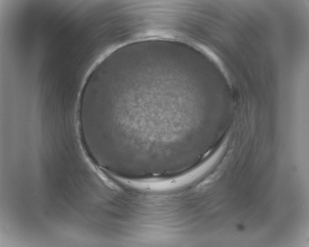 X0000071801373200607072040