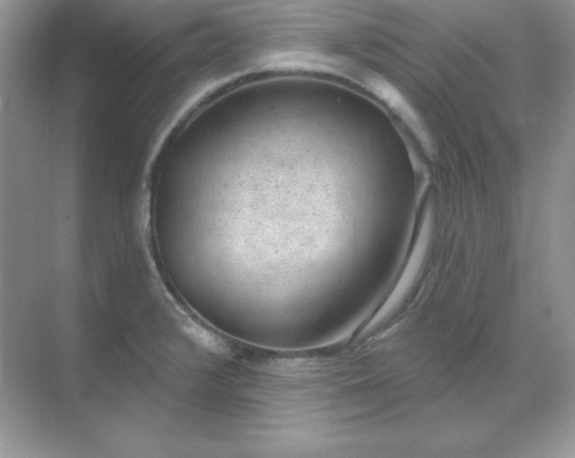 X0000071801376200607072040