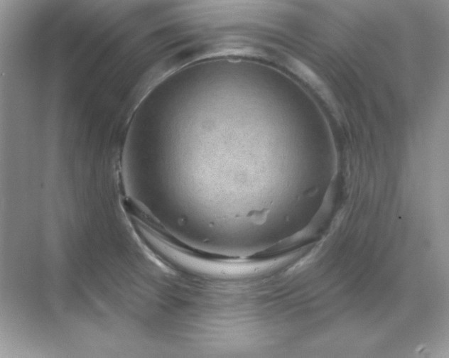 X0000071801377200607072040