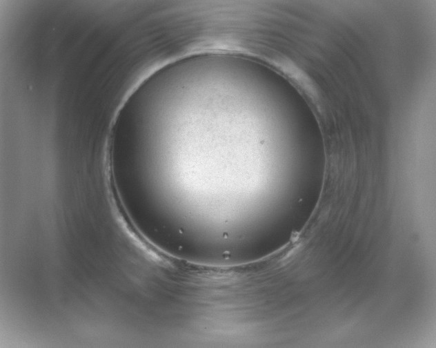 X0000071801382200607072040