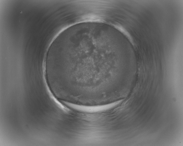 X0000071801383200607072040