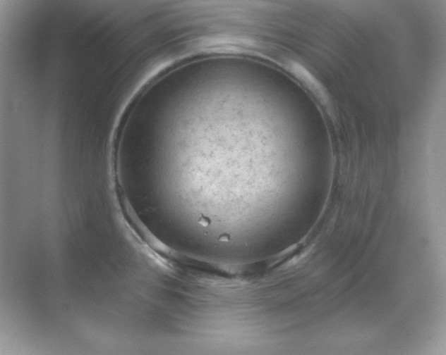 X0000071801384200607072040