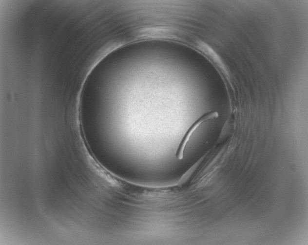 X0000071801386200607072040