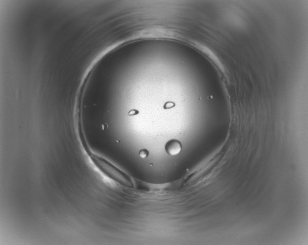 X0000071801387200607072040