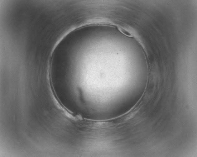 X0000071801390200607072040