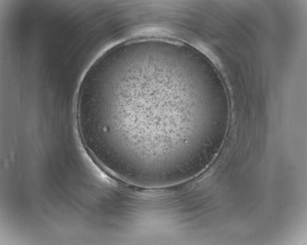 X0000071801392200607072040