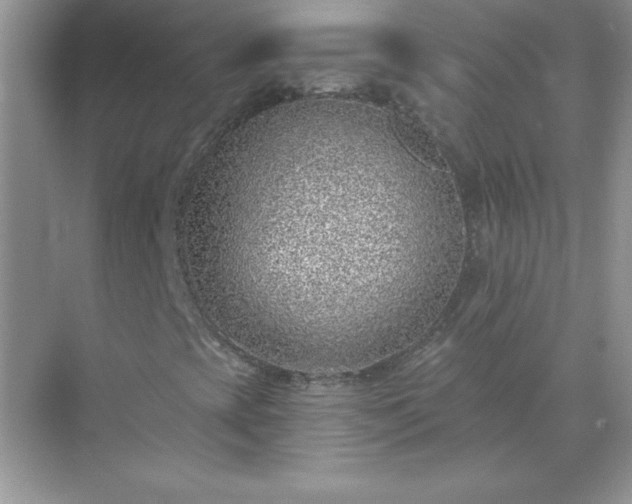 X0000071801393200607072039