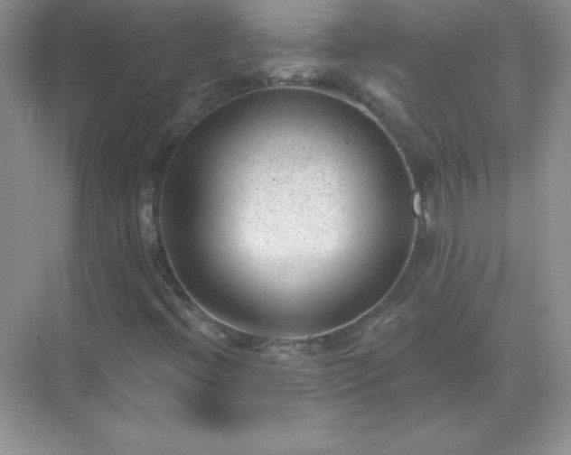 X0000071801396200607072039