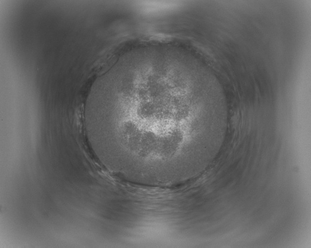 X0000071801397200607072039