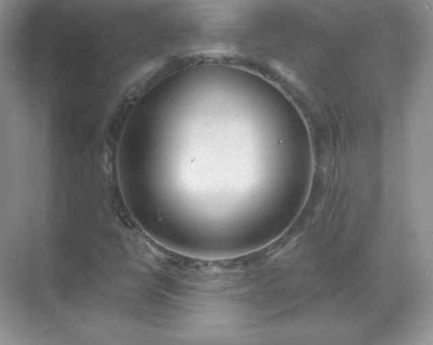 X0000071801398200607072039