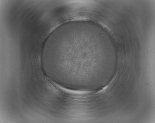 X0000071801401200607072039