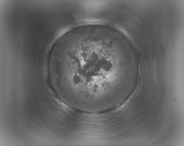 X0000071801405200607072040