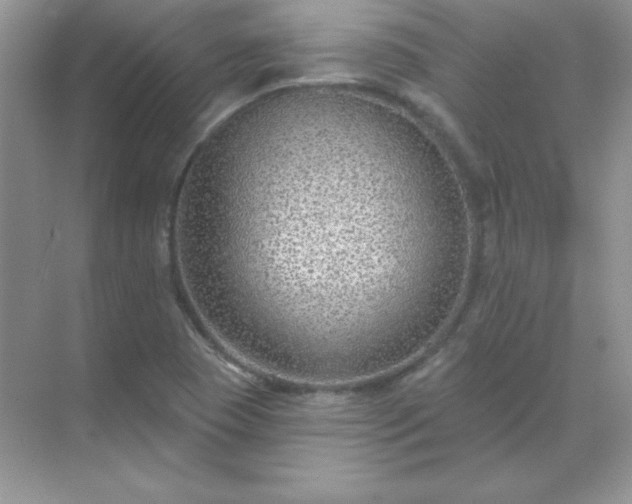 X0000071801409200607072040