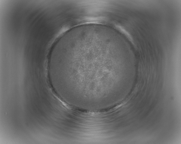 X0000071801411200607072040