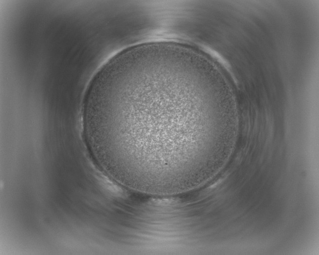 X0000071801415200607072040