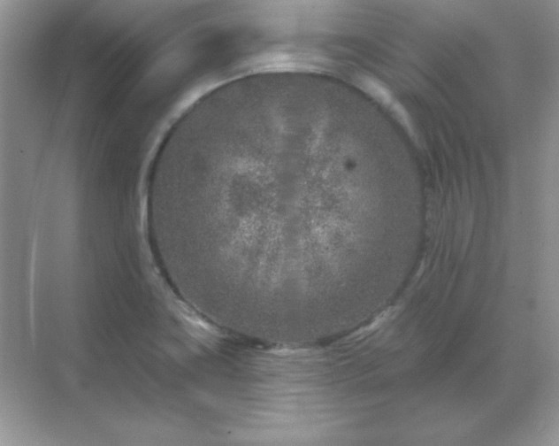 X0000071801419200607072040