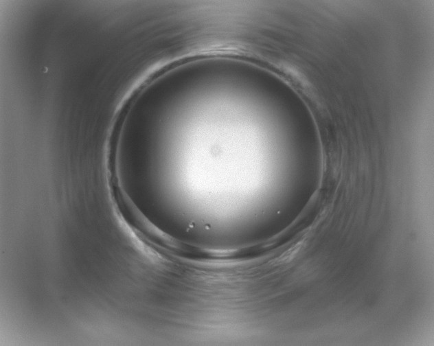 X0000071801422200607072040