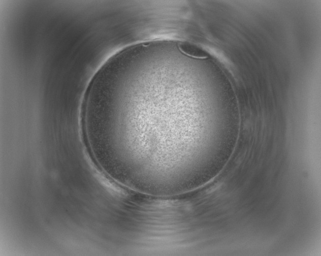 X0000071801423200607072040