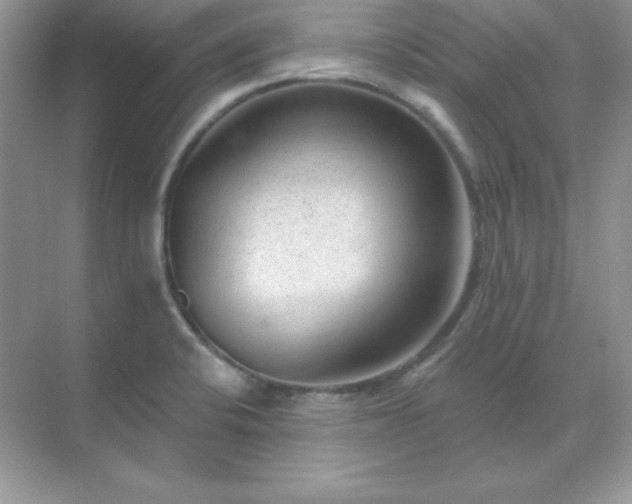 X0000071801424200607072040