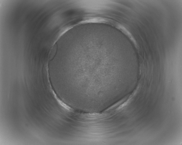 X0000071801425200607072040