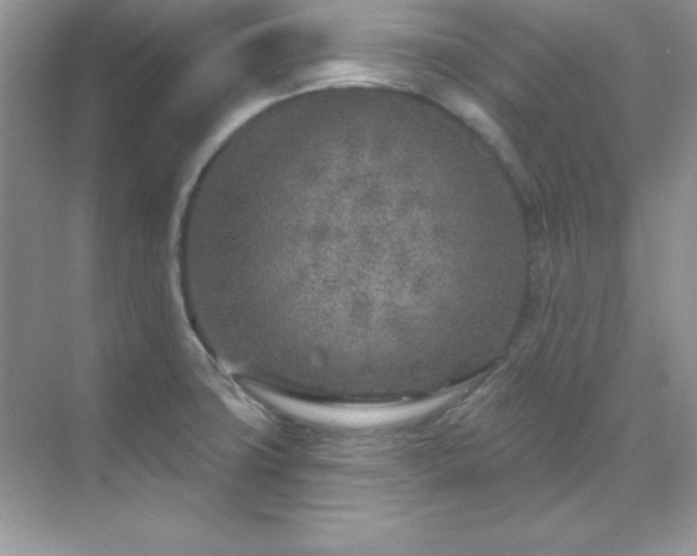 X0000071801427200607072040