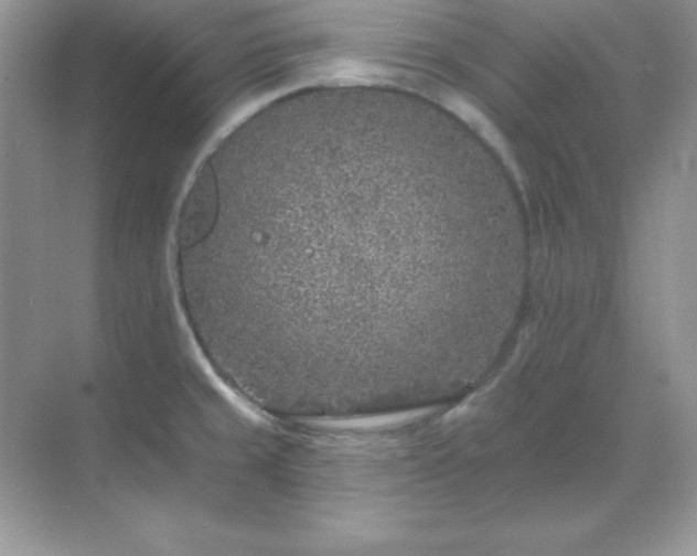 X0000071801429200607072040