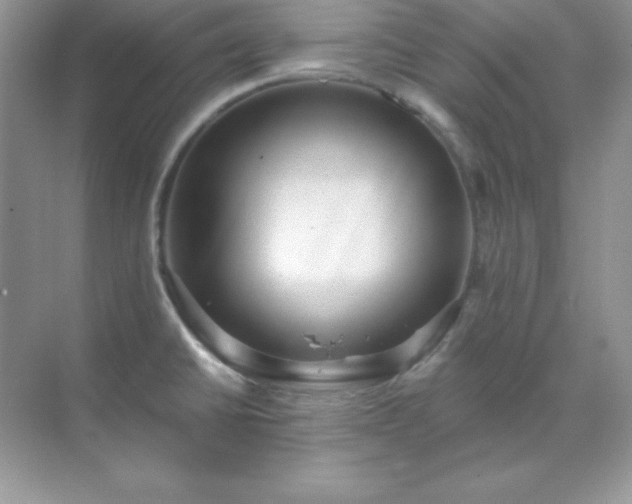 X0000071801430200607072040