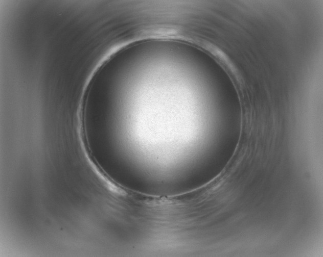 X0000071801432200607072040