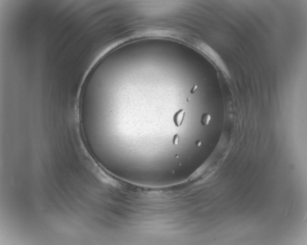 X0000071801436200607072040