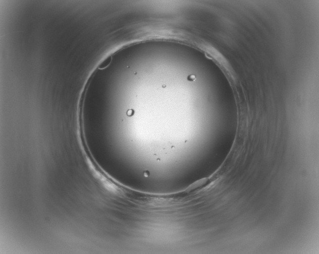 X0000071801439200607072040