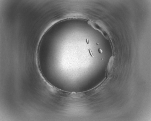 X0000071801440200607072040