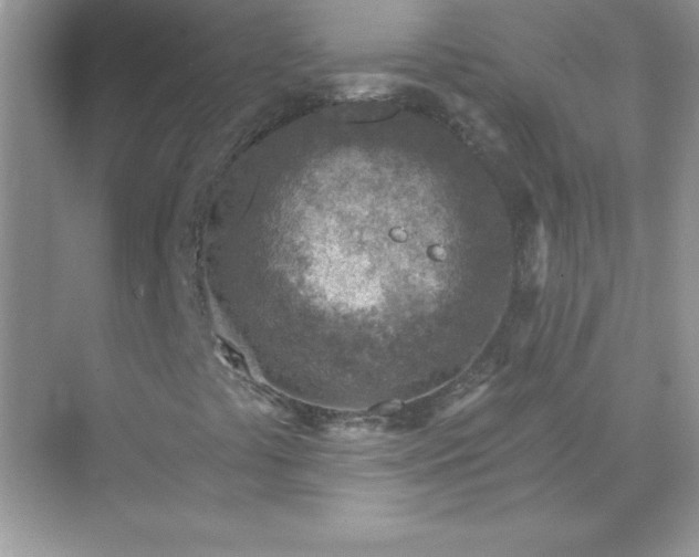 X0000071801441200607072039