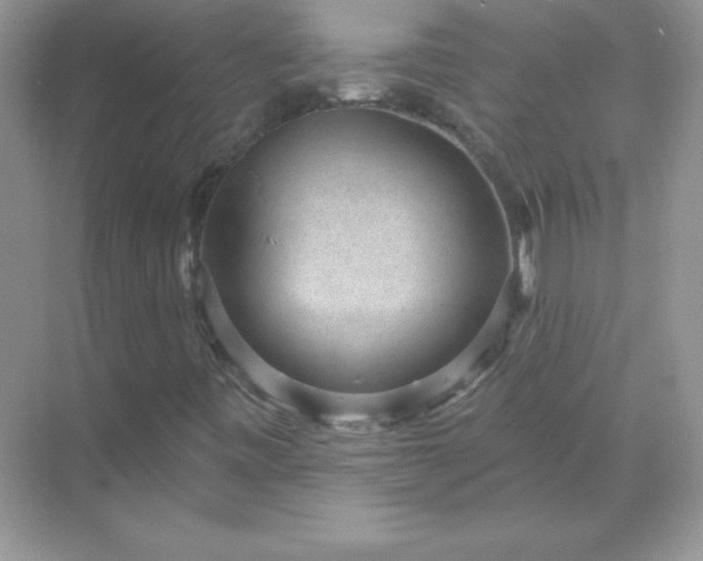 X0000071801443200607072039