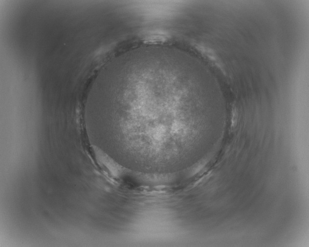 X0000071801445200607072039