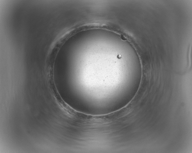 X0000071801448200607072039