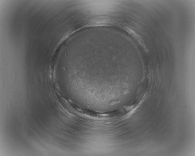 X0000071801449200607072039