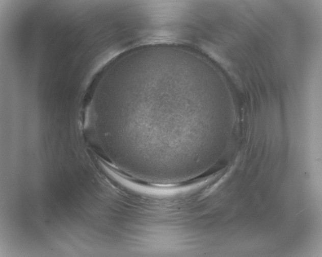 X0000071801453200607072039