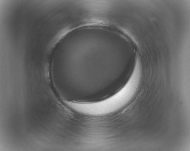 X0000071801455200607072039