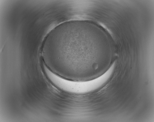 X0000071801459200607072039