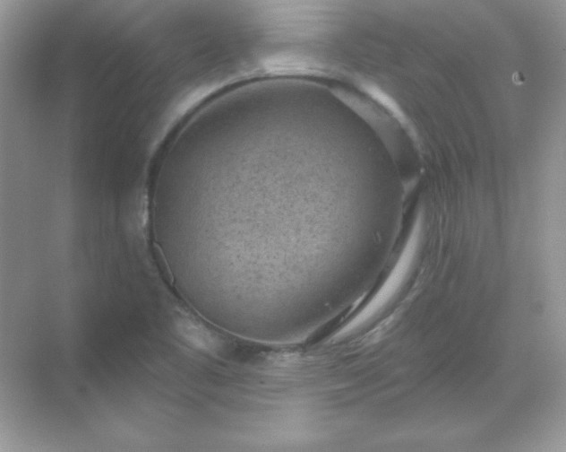 X0000071801461200607072039