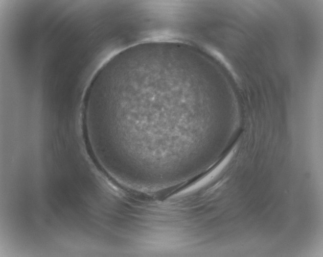 X0000071801463200607072039