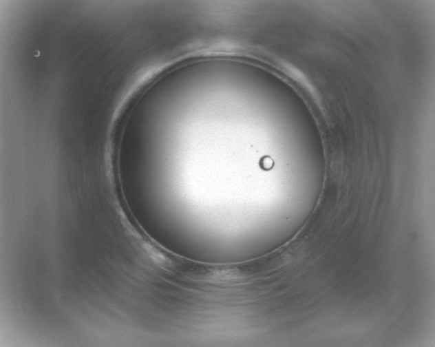 X0000071801464200607072039